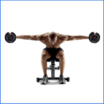 Bowflex SelectTech 552 Adjustable Dumbbells
