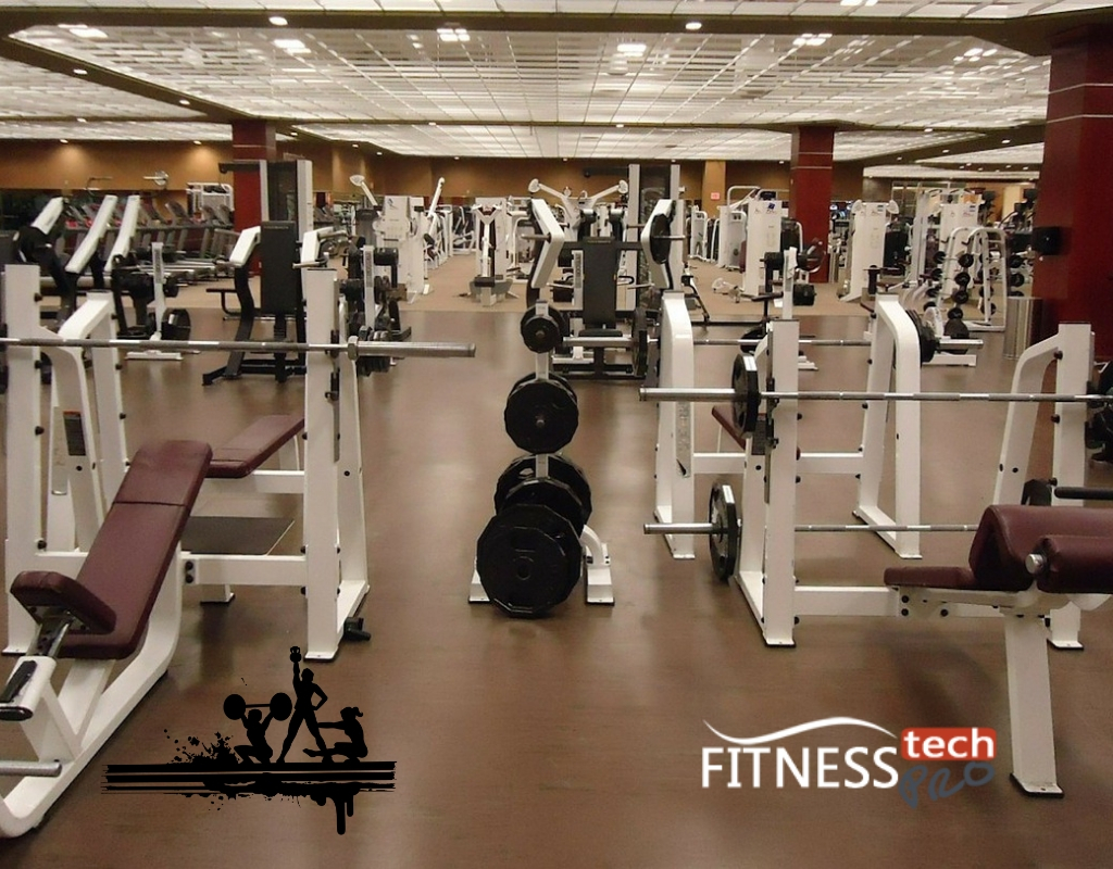 gym equipment
