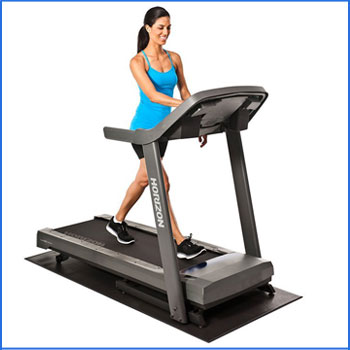 Horizon Fitness T101-04 Treadmill