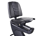 nordictrack seat