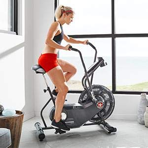 Schwinn Airdyne AD6 Exercise Bike