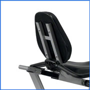 Schwinn 250 recumbent exercise bike