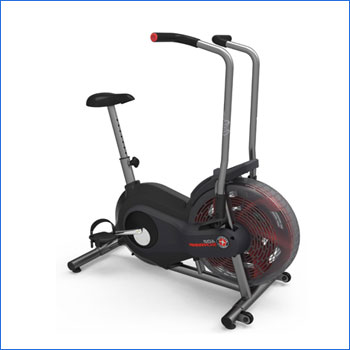 Schwinn Airdyne AD2 Upright Exercise Bike