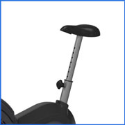 Schwinn Airdyne AD2 Upright Exercise Bike