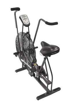 Schwinn Airdyne AD4 bike back