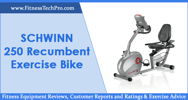 Schwinn 250 Recumbent Exercise Bike
