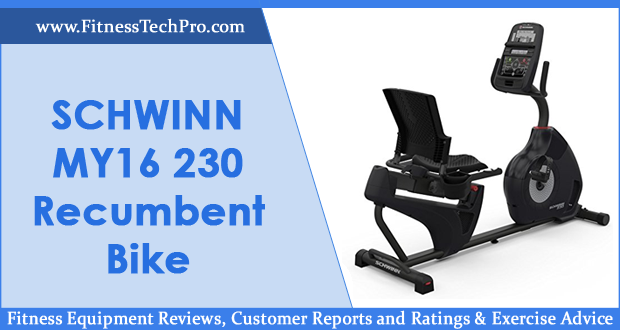 Schwinn 230 Recumbent Bike